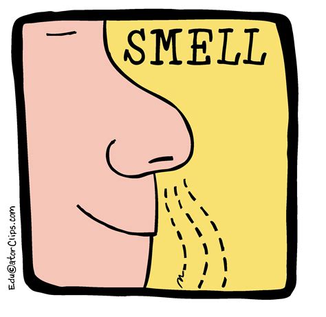 smell cliparts smell clipart png image transparent png  clip