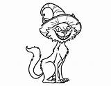 Halloween Coloringcrew Bewitched Cat Coloring sketch template