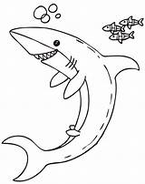 Colorear Depredadores Jaws Tiburon Colouring Megalodon Dibujitos Coloringhome Malvorlagen sketch template