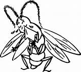 Insect Clipart Coloring Crying Webstockreview Big Vectors sketch template