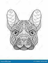 Zentangle Stylized Freehand Pug sketch template