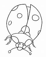 Bug Coloring Pages Lady Printable Kids sketch template