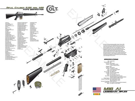 colt ma exploded view rgunporn