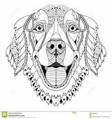 Coloring Pages Dog Retriever Golden Zentangle Mandala Animal Colouring Adult Printable Google Dogs Doodle Shells sketch template