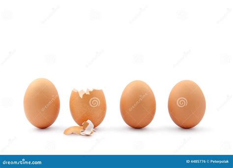 eggs  hatched royalty  stock image image