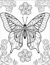 Coloriage Papillons sketch template