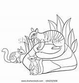 Numbat Coloring Designlooter Babies Mother Cute Pages Little Her 65kb 470px sketch template