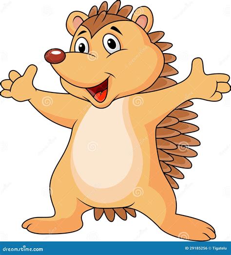 hedgehog cartoon royalty  stock image image