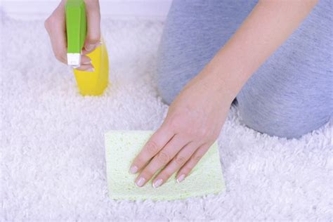 clean childrens urine   carpet livestrongcom