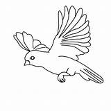Flying Bird Coloring Drawing Pages Parrot Simple Amazing Birds Color Cartoon Print Sparrow Floating Flight Sketch Cute Kids Drawings Printable sketch template