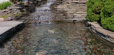 spring clean  pond   pros backyard water garden