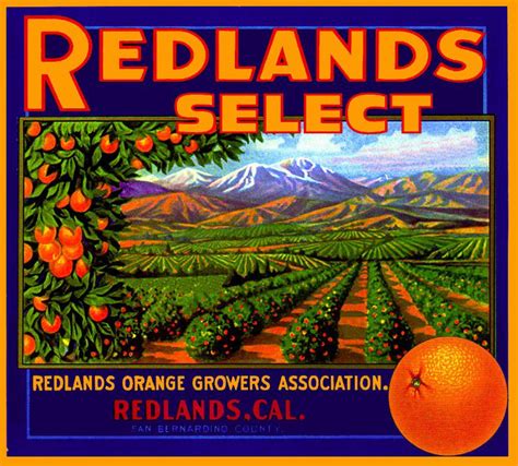 orange redlands orange grove crate label