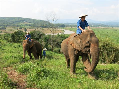 thailand riding elephants travelling the mekong expl