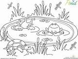 Frogs Activities Ranas Infantiles Estanques Estanque Habitats Colorier Leerlo Lire Lagoa Sapo Farm étang Visit sketch template