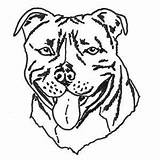 Staffy Pages Colouring Terrier Bull sketch template