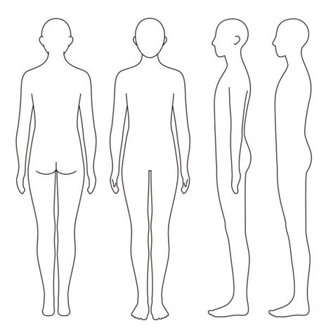 human body outline side view