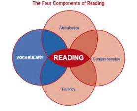 english  adults reading comprehension exercises