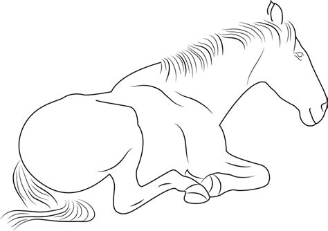 horse sitting coloring page  printable coloring pages  kids