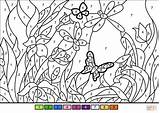 Number Color Flower Garden Coloring Pages Spring Template Printable Supercoloring Worksheets Templates Categories sketch template