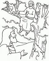 Zacchaeus Zaqueo Activities Zaqueu Zaccheaus Pintar Zacheus Vbs Biblia Sycamore Acessar sketch template