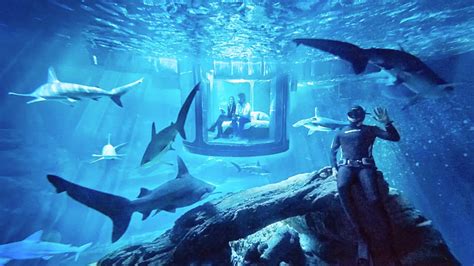 rent  airbnb     underwater glass room surro