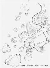 Sherpa Goldfish sketch template