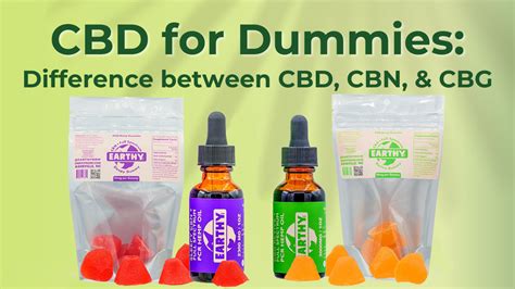 cbd for dummies key difference between cbd cbg and cbn
