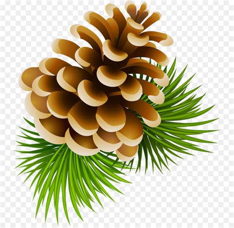 christmas pine cones clipart   cliparts  images