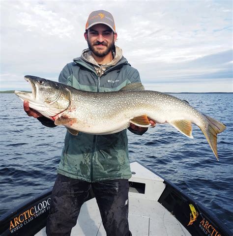 lake trout fishing trophy fishing experience arctic lodges