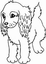 Coloring Spaniel Puppy Pages Printable Cocker Print Puppies Springer Boykin Dogs Drawing Dog Kids Colouring Lab Kitten Cute Sheets Grade sketch template