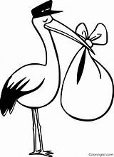 Stork Coloringall Bird sketch template