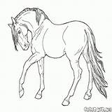 Cavalli Cavallo Disegnare Colorare Animali Google sketch template
