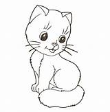 Coloring Pages Kitten Realistic Lovely sketch template