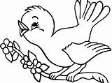 Spring Birds Coloring Pages Bird Getcolorings Printable Easy Preschoolers Color sketch template