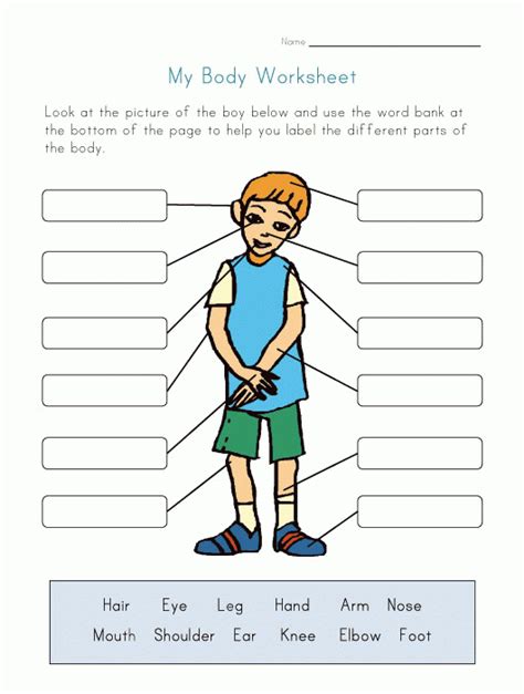 preschool body parts coloring pages coloring home
