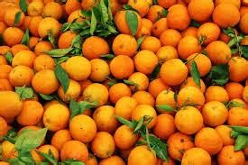 manfaat buah jeruk  cantik kekinian
