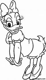 Duck Donald Coloring Pages Printable Baby Getcolorings sketch template