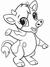 Cow Baby Coloring Pages Printable Categories Kids sketch template