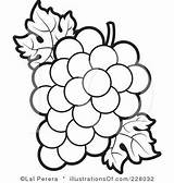 Clipart Grape Grapes Clip Coloring Line Fruit Outline Royalty Bunch Color Pages Illustration Book Outlines Perera Lal Choose Board Colouring sketch template