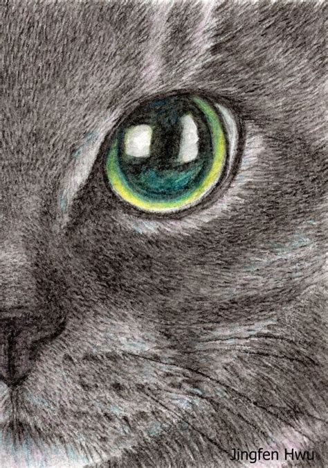 Lifelike Realistic Cat Drawing Watercolor Pencil Black