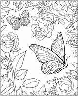 Coloring Pages Butterfly Flower Ausmalbilder sketch template