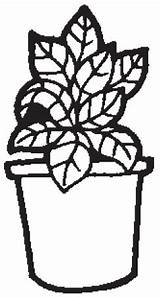 Macetas Maceta Flowerpot sketch template