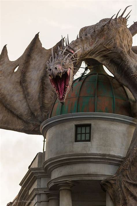 Ukrainian Ironbelly Fantasy Castle Dragon Artwork Harry Potter