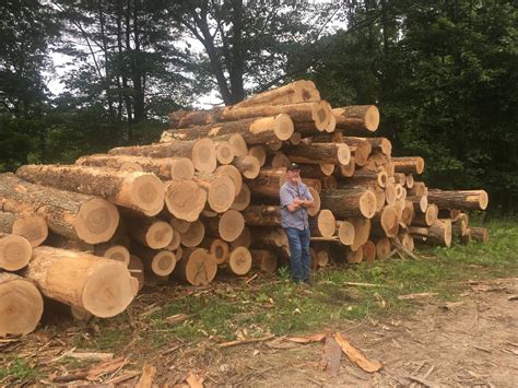 log purchasing wagner lumber sawmill   york pennsylvania
