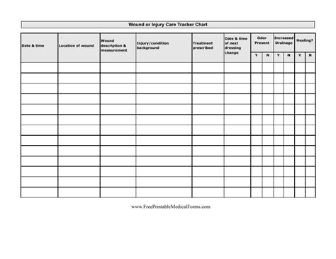 wound  injury care tracker chart template  printable