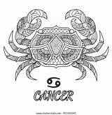 Mandala Cancro Krebs Malvorlagen Segno Simbolo Granchio Zodiacale Sternzeichen Agefotostock Esy sketch template