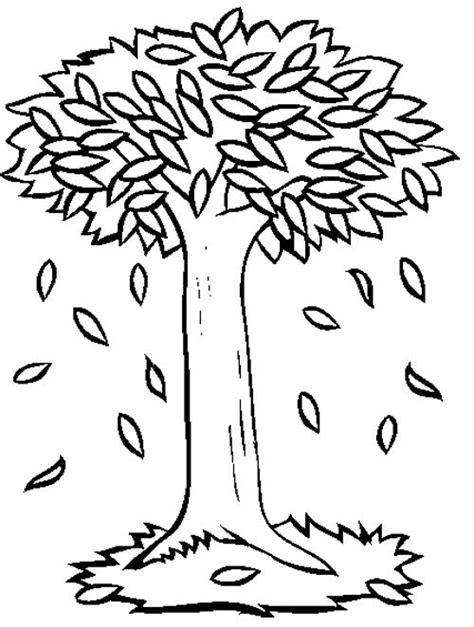 leaves fall tree coloring page tree pinterest trees coloring