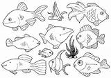 Fish Coloring Pages Small Pout Ocean Getcolorings Color Printable Getdrawings sketch template