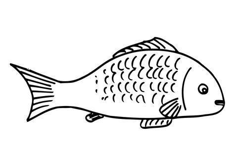 food coloring recipe gallery  fish coloring page coloring