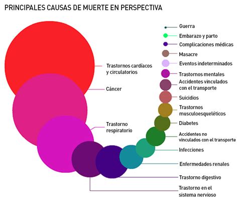 estas son las principales causas de muerte en el mundo blog ortopedia